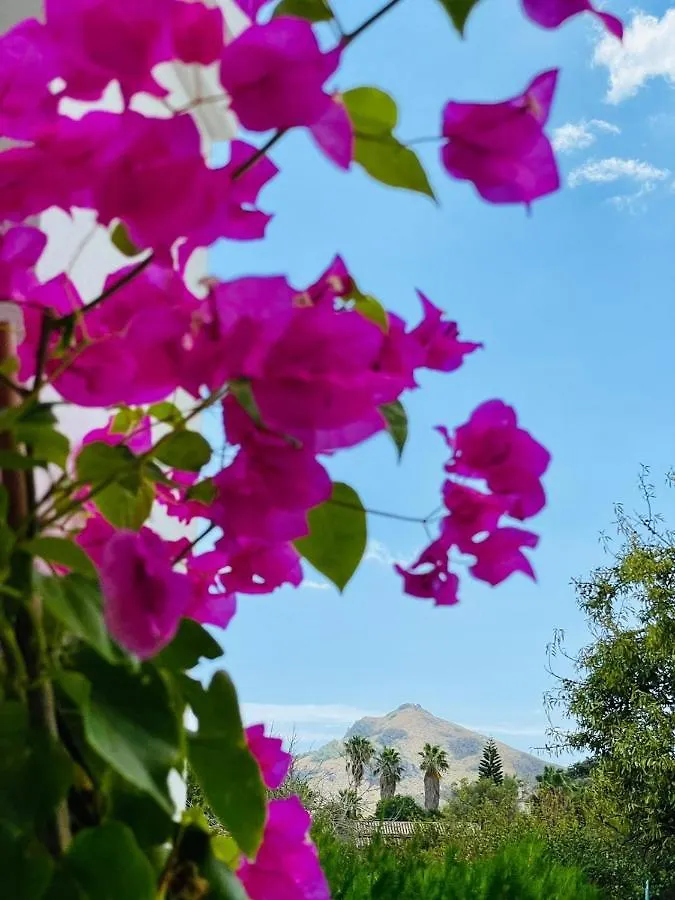 Wunderschoene Finca Alcudia Mit Wlan Und Heizung